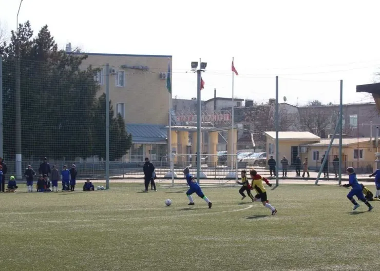https://ognikubani.ru/wp-content/uploads/2022/03/ognikubani.ru-8-5