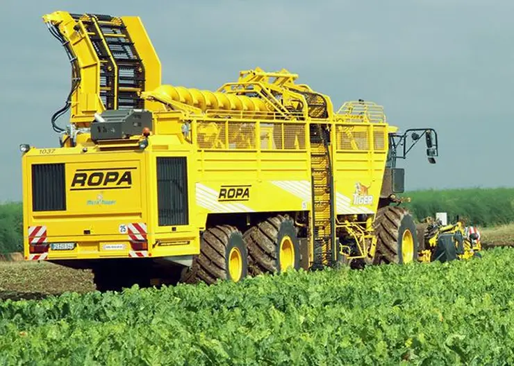 https://ognikubani.ru/wp-content/uploads/2020/08/147263_09-sugar-beet-ropa