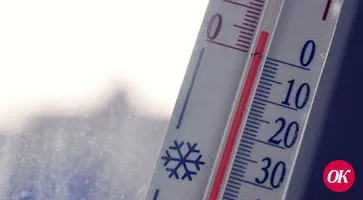 … Но весна  есть весна
