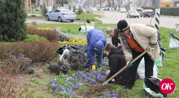 Подведены итоги районного субботника