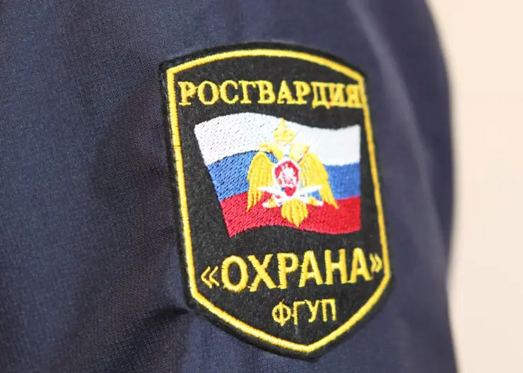 https://ognikubani.ru/wp-content/uploads/2022/09/1639406055_ohr2_2
