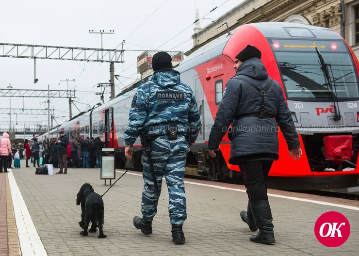 В Армавире сотрудники транспортной полиции изъяли из незаконного оборота марихуану в крупном размере