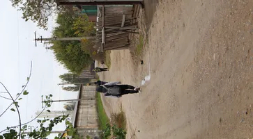 https://ognikubani.ru/wp-content/uploads/2022/11/IMG_0348
