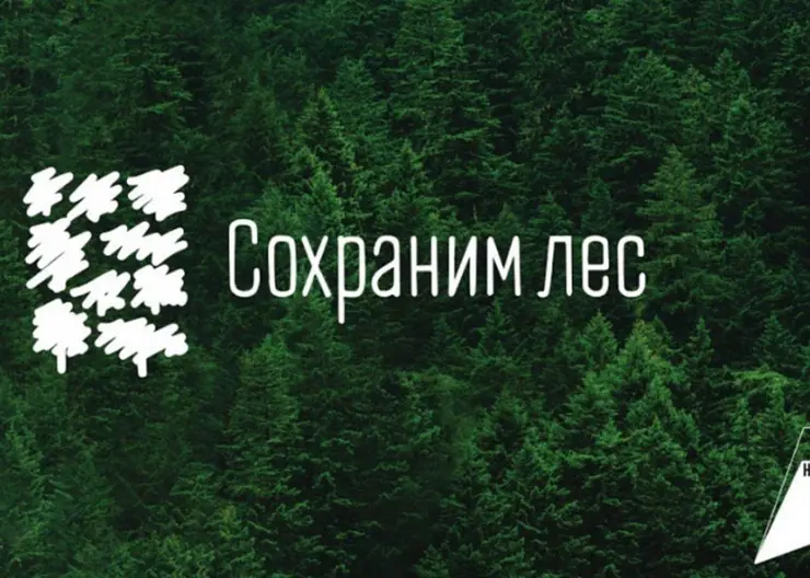 https://ognikubani.ru/wp-content/uploads/2021/10/ognikubani.ru-13-2