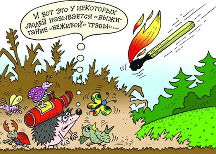 http://www.ognikuban.tw1.ru/wp-content/uploads/2015/07/4fire333
