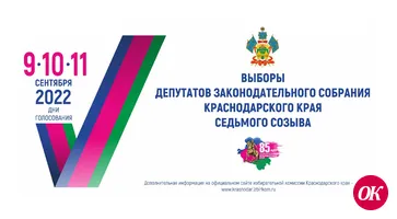 Комиссия работает, избиратель голосует, наблюдатель наблюдает