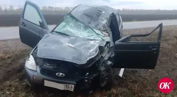 В Гулькевичском районе легковушка сбила 8 человек, 5 из них погибли