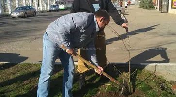 https://ognikubani.ru/wp-content/uploads/2020/03/89029267_2429521500693826_8779221697740776241_n