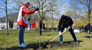 https://ognikubani.ru/wp-content/uploads/2020/04/5f333b172303fbc8fa1321a506ee94fb