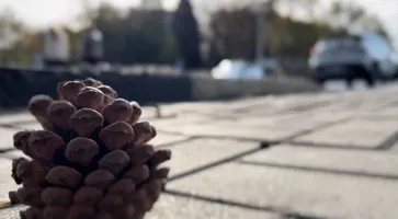 photo_2023-11-26_15-37-53