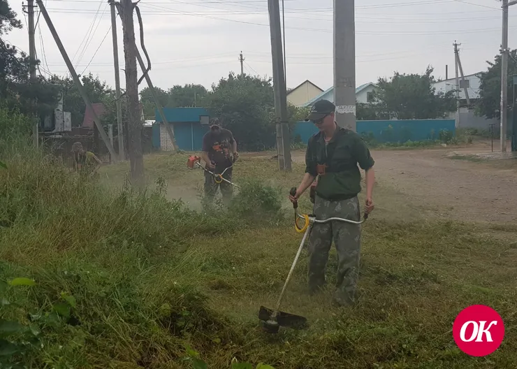 В сосновой роще Кропоткина проведен субботник