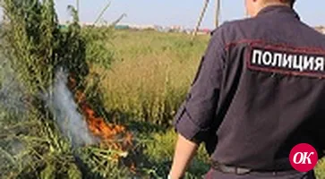 Правоохранители выявили и изъяли около 165 граммов марихуаны.