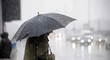 https://ognikubani.ru/wp-content/uploads/2021/03/18bb2721_resizedScaled_1020to678