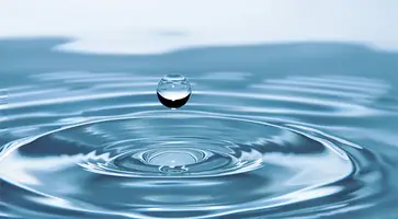 https://ognikubani.ru/wp-content/uploads/2022/06/sted8270_1