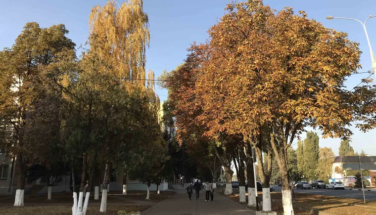 https://ognikubani.ru/wp-content/uploads/2020/10/10741544704