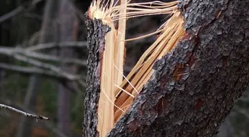 https://ognikubani.ru/wp-content/uploads/2021/12/ognikubani.ru-10
