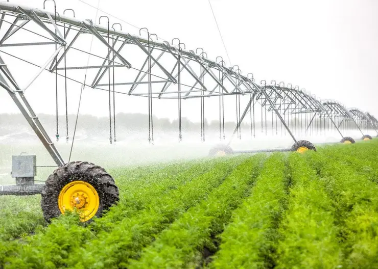 https://ognikubani.ru/wp-content/uploads/2020/05/agriculture_irrigation__300818_02-1024x684