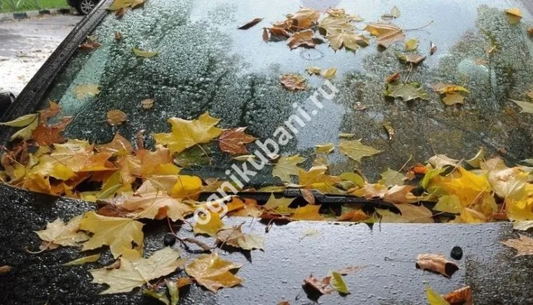 https://ognikubani.ru/wp-content/uploads/2019/11/1-8-876x420