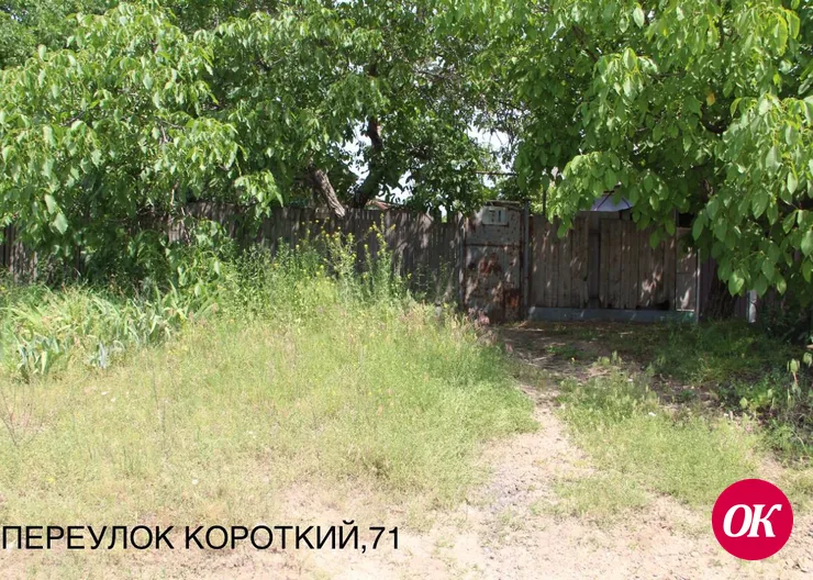 После дождливого мая сорная растительность стремится побить все рекорды