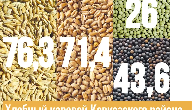 Инфографика хлеб