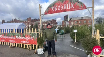 Вот уже несколько дней в городе творится елочное безумие. Горожане выбирают «свою» хвойную красавицу, которая украсит их дом  в новогодние праздники.