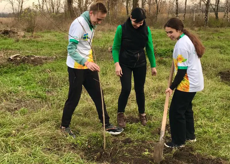 https://ognikubani.ru/wp-content/uploads/2022/11/WhatsApp-Image-2022-11-16-at-20.22.29_1