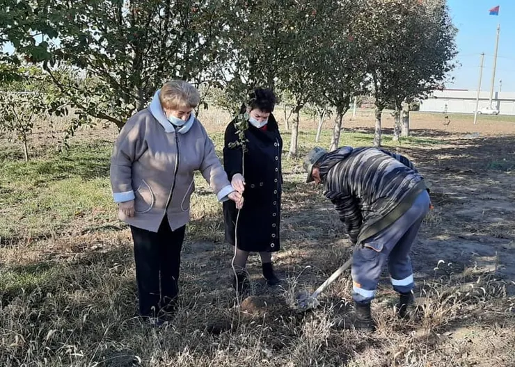 https://ognikubani.ru/wp-content/uploads/2020/11/WhatsApp-Image-2020-11-17-at-09.08.47