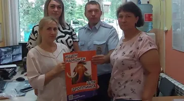 Чеклачев и дс №31