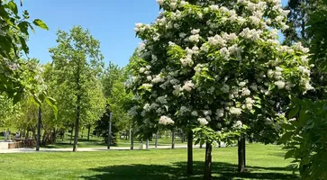 photo_2025-03-12_11-20-48