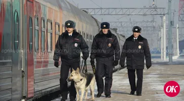 Сотрудники транспортной полиции привлекли к административной ответственности пассажира