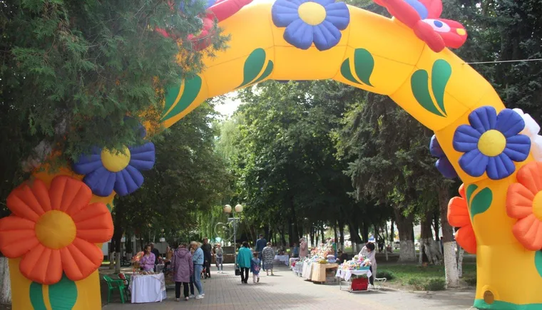 https://ognikubani.ru/wp-content/uploads/2021/09/ognikubani.ru-14