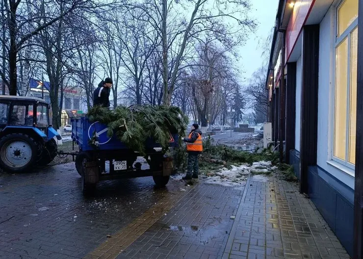 photo_2026-01-12_10-04-37