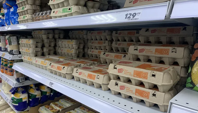 64491898-15DC-48BC-A273-11AB10613325