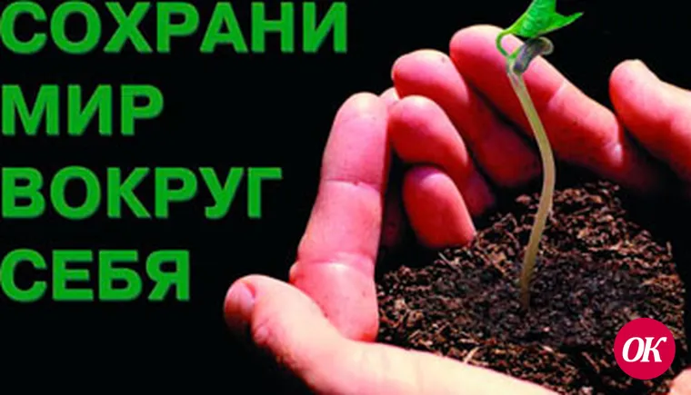 Мир вокруг нас ждет уборки