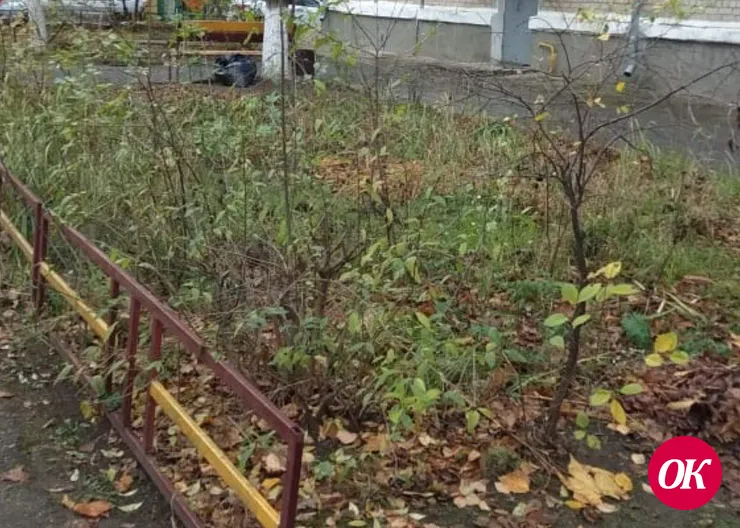 Клумба у дома по адресу: Гоголя, 153 в Кропоткине требует ухода
