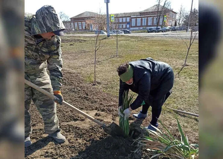 https://ognikubani.ru/wp-content/uploads/2021/03/ognikubani.ru-15