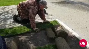 На площади имени Пушкина Кропоткина меняют рулонный газон
