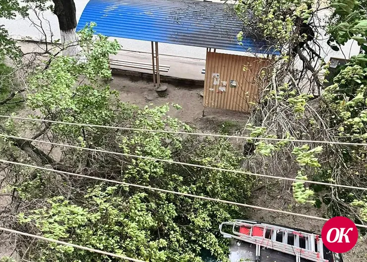 Ураган и его последствия. 20.05.2025