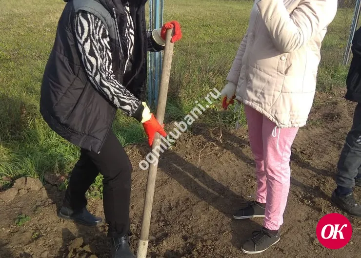 Привольненцы озеленяют свой хутор