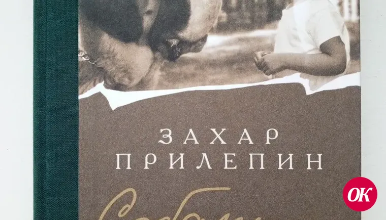 На моей книжной полке сегодня стоят произведения Захара Прилепина, Марины Степновой, Нади Алексеевой