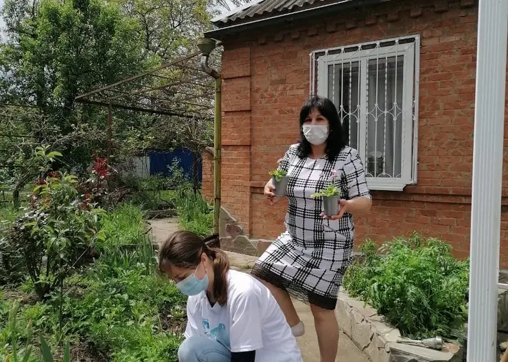 https://ognikubani.ru/wp-content/uploads/2020/05/WhatsApp-Image-2020-05-06-at-10.55.46