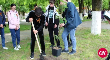 Волонтеры приняли участие в экопроекте, высадили деревья и совершили плоггинг-забег