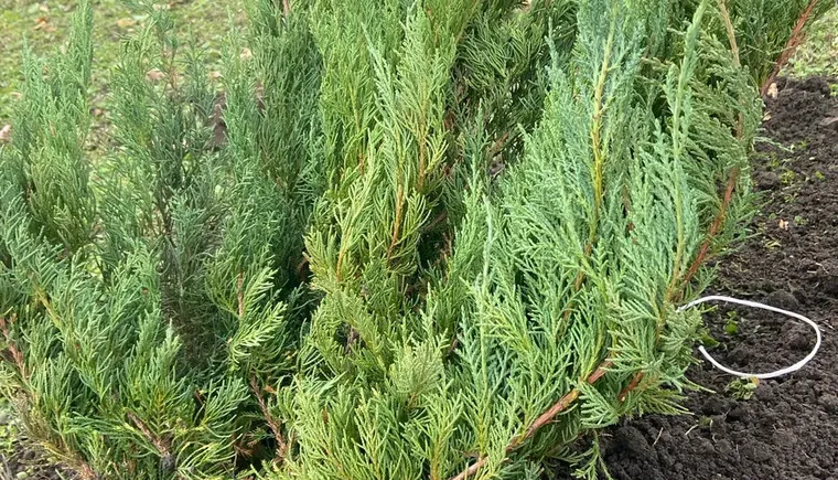 WhatsApp Image 2023-12-12 at 15.22.21