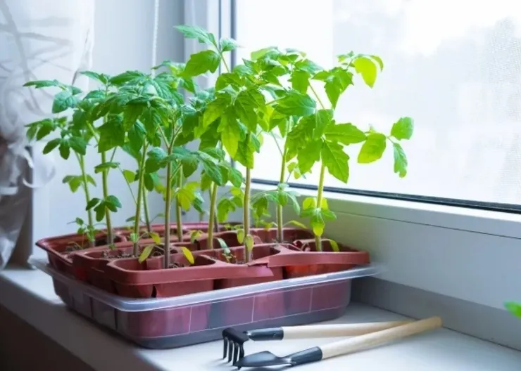 7569cf38fda1f64c69cdcd28157a2692