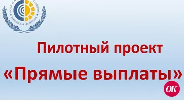 Что нужно сделать страхователям (работодателям) «Прямые выплаты» до реализации пилотного проекта?