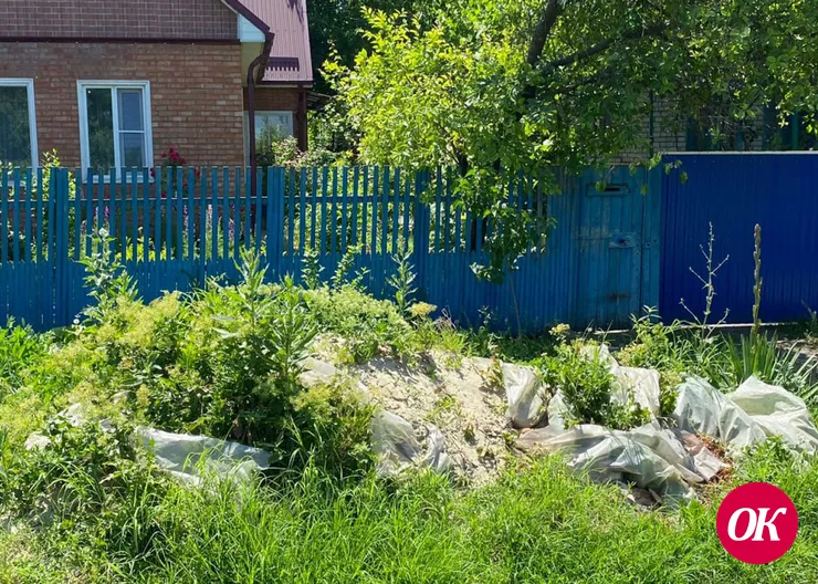 Всем жителям улицы Щербинина ст-цы Дмитриевской стоит обратить внимание на состояние прилегающих территорий своих дворов