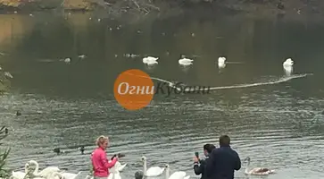https://ognikubani.ru/wp-content/uploads/2019/10/IMG-20191020-WA0005-1