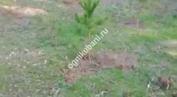 https://ognikubani.ru/wp-content/uploads/2019/10/WhatsApp-Image-2019-10-28-at-09.05.37