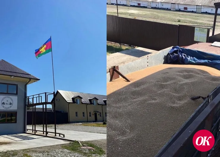 В национальном проекте «Производительность труда» участвуют 130 предприятий Краснодарского края
