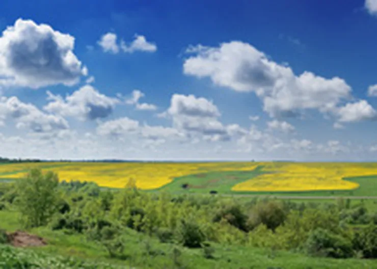 http://www.ognikuban.tw1.ru/wp-content/uploads/2017/03/kuban_nature323455